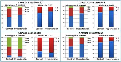 CYP17A1–ATP2B1 SNPs and Gene–Gene and Gene–Environment Interactions on Essential Hypertension